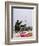 1991 Gulf War Kuwait Liberation-David Longstreath-Framed Photographic Print