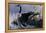 1992 Canada Goose-Wilhelm Goebel-Framed Premier Image Canvas