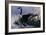 1992 Canada Goose-Wilhelm Goebel-Framed Giclee Print