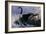 1992 Canada Goose-Wilhelm Goebel-Framed Giclee Print