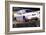 1996 Mustang-Not Since Mr. Ed-null-Framed Art Print