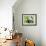 19CO-Pierre Henri Matisse-Framed Giclee Print displayed on a wall