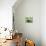 19CO-Pierre Henri Matisse-Giclee Print displayed on a wall