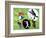 19CO-Pierre Henri Matisse-Framed Giclee Print