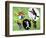 19CO-Pierre Henri Matisse-Framed Giclee Print