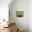 19COF-Pierre Henri Matisse-Giclee Print displayed on a wall