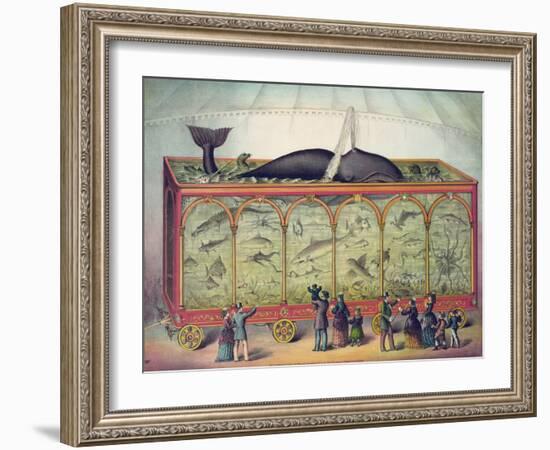 19th Century Circus Aquarium, 1873-null-Framed Giclee Print