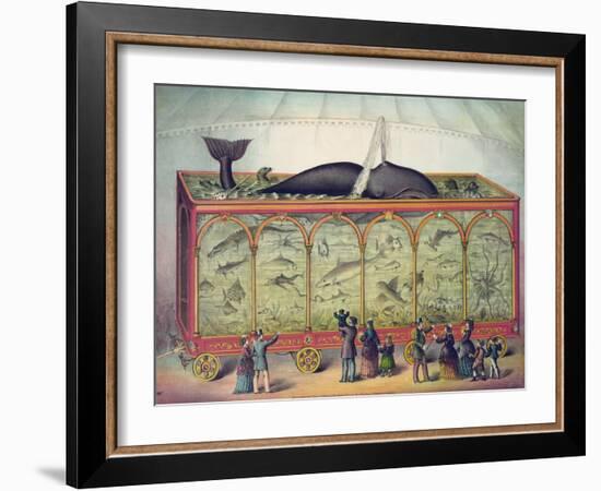 19th Century Circus Aquarium, 1873-null-Framed Giclee Print