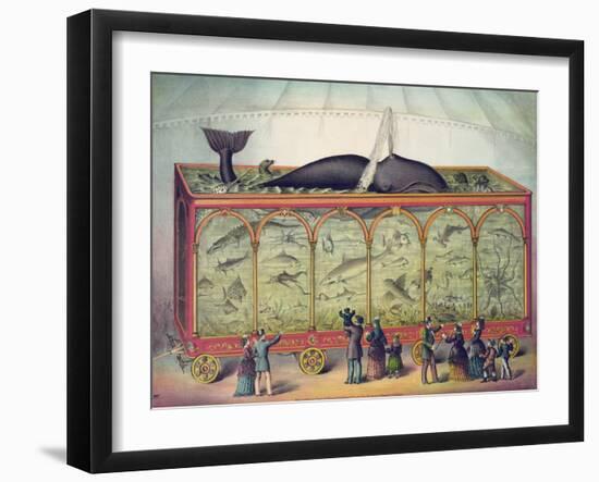 19th Century Circus Aquarium, 1873-null-Framed Giclee Print