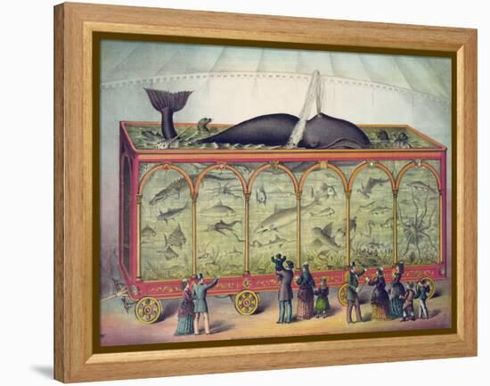 19th Century Circus Aquarium, 1873-null-Framed Premier Image Canvas