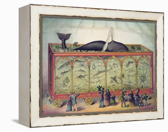 19th Century Circus Aquarium, 1873-null-Framed Premier Image Canvas