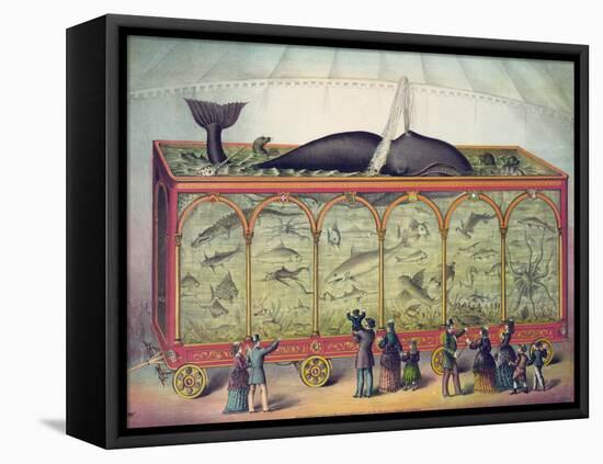 19th Century Circus Aquarium, 1873-null-Framed Premier Image Canvas