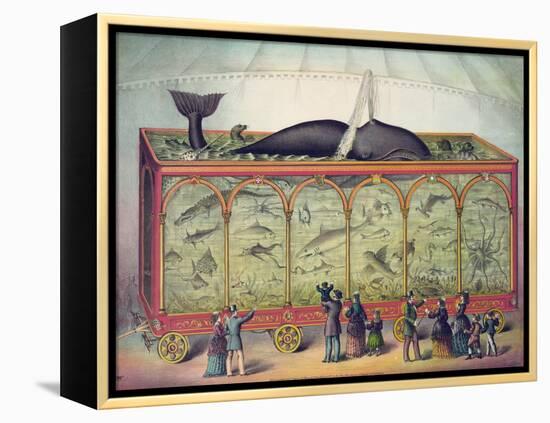 19th Century Circus Aquarium, 1873-null-Framed Premier Image Canvas