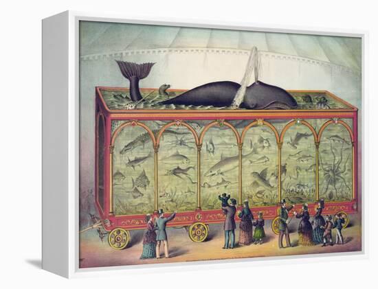 19th Century Circus Aquarium, 1873-null-Framed Premier Image Canvas