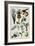 19th-Century French Botanical Print-null-Framed Giclee Print