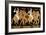 19th Century Greek Vase Illustration of Two Amazons on Horses After Two Youths-Stapleton Collection-Framed Giclee Print