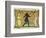 19th-Century Illustration of a Man Dancing Between Two Women-Bettmann-Framed Photographic Print