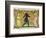 19th-Century Illustration of a Man Dancing Between Two Women-Bettmann-Framed Photographic Print