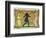 19th-Century Illustration of a Man Dancing Between Two Women-Bettmann-Framed Photographic Print