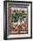 19th-Century Indian Painting of the Wife of Rajah Ramchanderjee in Rawan's Garden-null-Framed Giclee Print