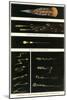 19th Century Meteorite Observations-Detlev Van Ravenswaay-Mounted Photographic Print