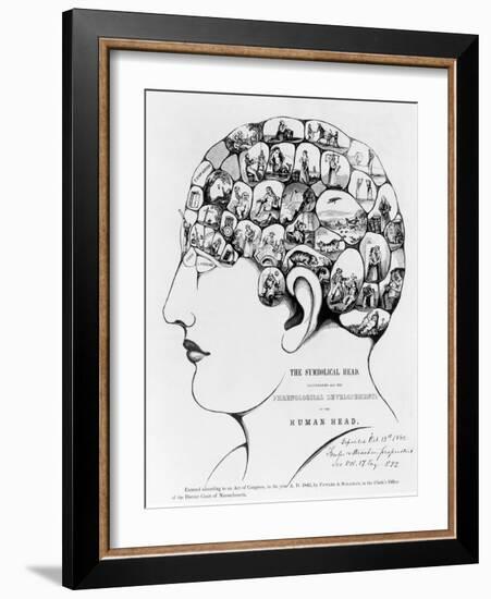 19th-century Phrenology-Library of Congress-Framed Photographic Print