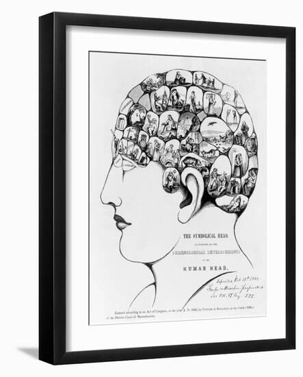 19th-century Phrenology-Library of Congress-Framed Photographic Print