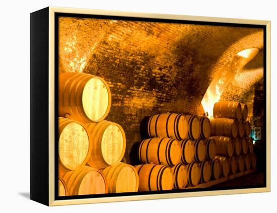 19th Century Wine Cellar, Juanico Winery, Uruguay-Stuart Westmoreland-Framed Premier Image Canvas
