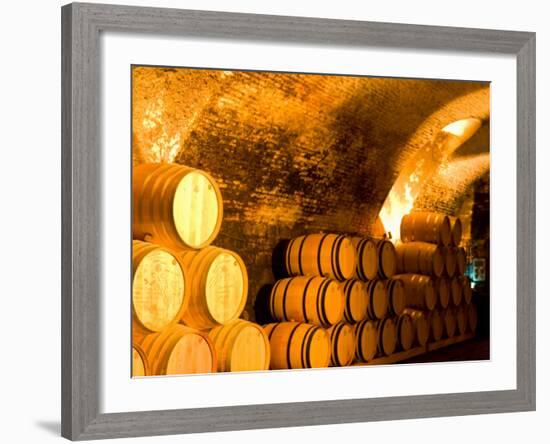 19th Century Wine Cellar, Juanico Winery, Uruguay-Stuart Westmoreland-Framed Photographic Print