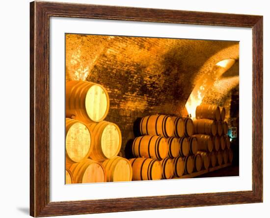 19th Century Wine Cellar, Juanico Winery, Uruguay-Stuart Westmoreland-Framed Photographic Print