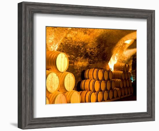 19th Century Wine Cellar, Juanico Winery, Uruguay-Stuart Westmoreland-Framed Photographic Print