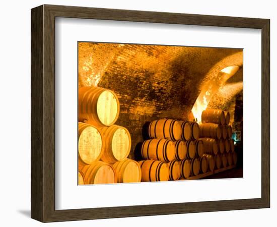 19th Century Wine Cellar, Juanico Winery, Uruguay-Stuart Westmoreland-Framed Photographic Print