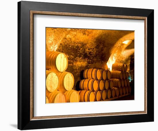 19th Century Wine Cellar, Juanico Winery, Uruguay-Stuart Westmoreland-Framed Photographic Print