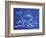 1CO-Pierre Henri Matisse-Framed Giclee Print