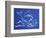 1CO-Pierre Henri Matisse-Framed Giclee Print