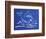 1CO-Pierre Henri Matisse-Framed Giclee Print