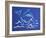 1CO-Pierre Henri Matisse-Framed Giclee Print