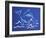 1CO-Pierre Henri Matisse-Framed Giclee Print