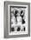 1st Miss Universe Contest, Miss Hong Kong Judy Dan and Miss India Indrani Rahman, CA, 1952-George Silk-Framed Photographic Print