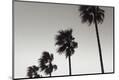 Premium Photographic Print