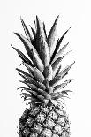 Pineapple Black a White 01-1x Studio III-Photographic Print