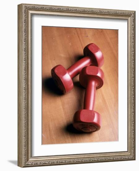 2.5 lb. Weights-null-Framed Photographic Print