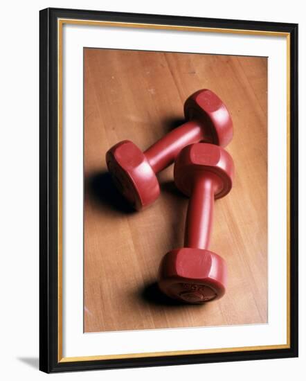 2.5 lb. Weights--Framed Photographic Print