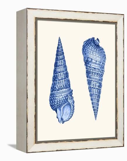 2 Blue Shells a-Fab Funky-Framed Stretched Canvas