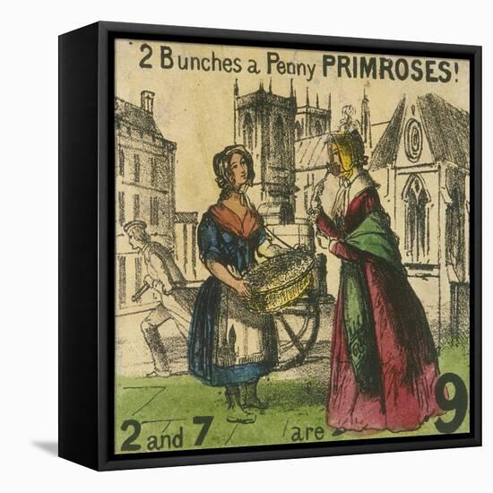 2 Bunches a Penny Primroses!, Cries of London, C1840-TH Jones-Framed Premier Image Canvas