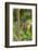 2 butterflies, on the left-hand side small beauties, Colobura dirce, to the right of banana butterf-Alexander Georgiadis-Framed Photographic Print