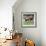 2 Doberman Pinchers-Eduardo Camoes-Framed Giclee Print displayed on a wall