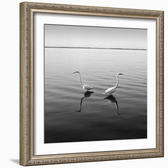 2 Herons-Moises Levy-Framed Photographic Print