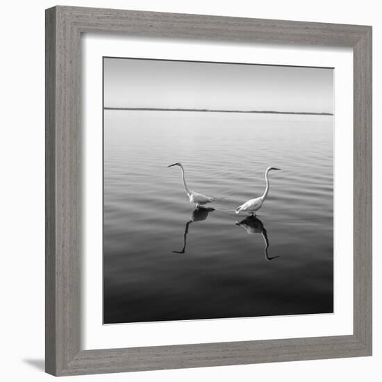 2 Herons-Moises Levy-Framed Photographic Print