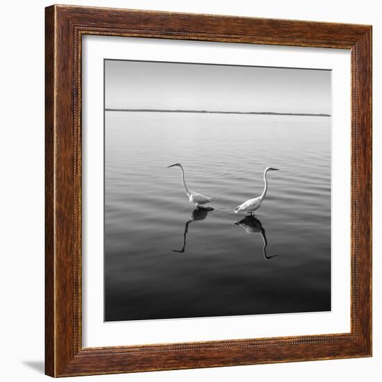 2 Herons-Moises Levy-Framed Photographic Print